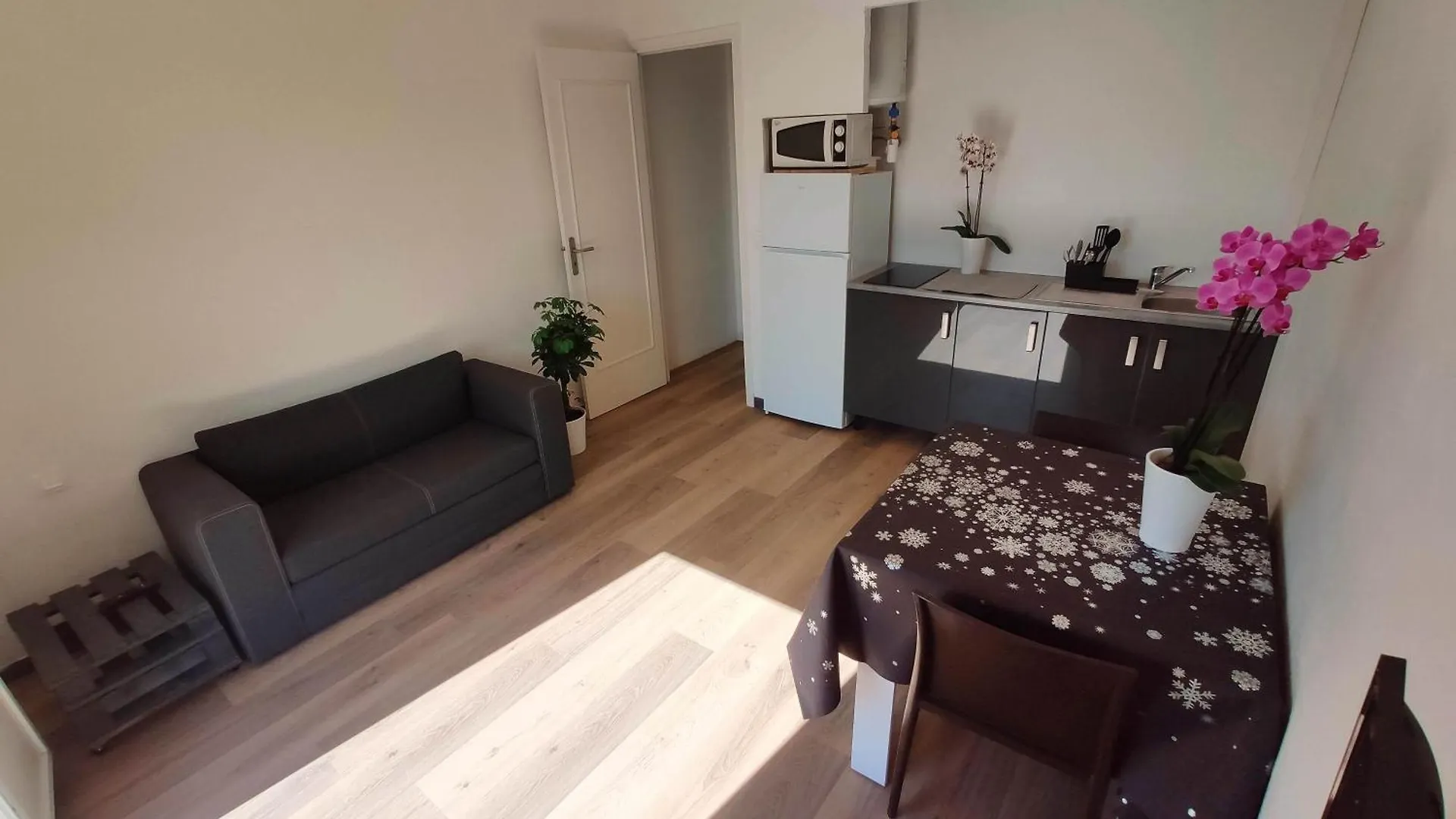 Les Studios Des Mandariniers Cagnes-sur-Mer