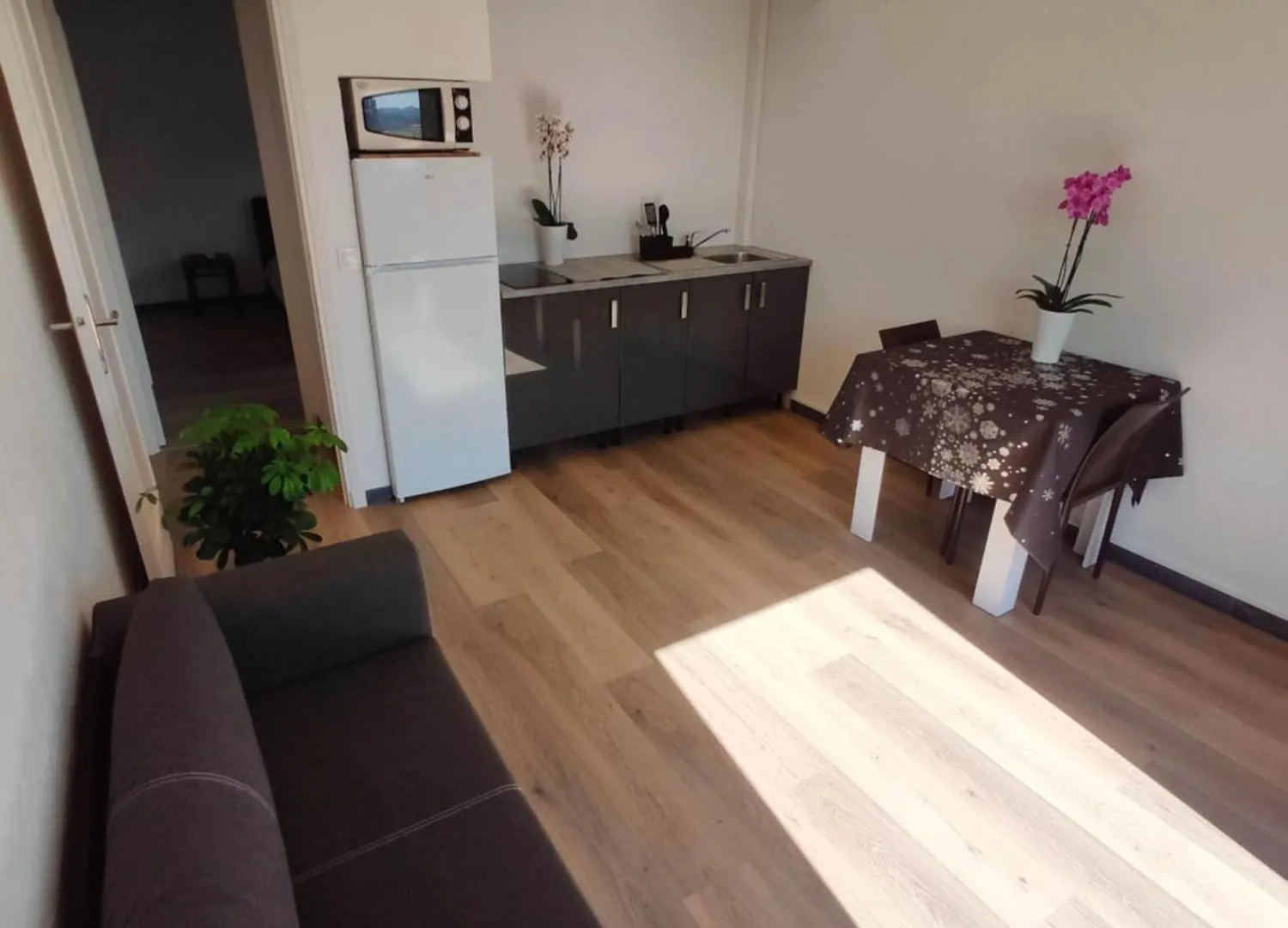 Apartment Les Studios Des Mandariniers Cagnes-sur-Mer