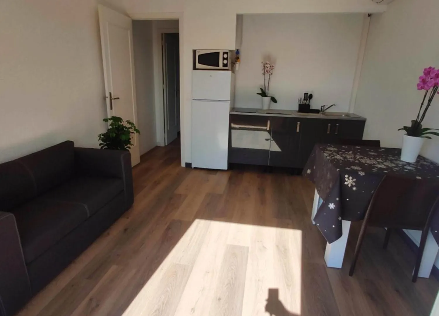 Les Studios Des Mandariniers Cagnes-sur-Mer France